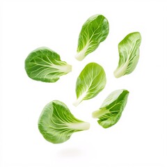 Obraz premium Fresh Green Vegetable Leaves Floating on White Background