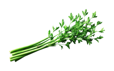 Fresh parsley a bright kitchen must isolated on transparent background