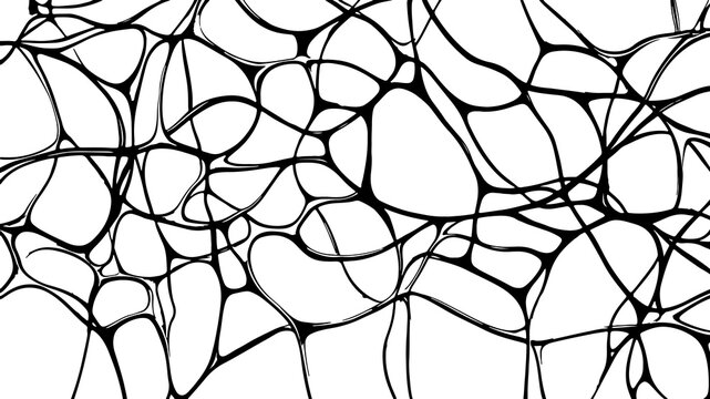 Abstract web pattern background. Interconnected lines form organic shapes. Design element decoration wallpaper. Black ink drawing on white backdrop