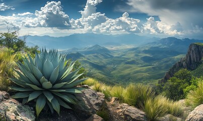Majestic Agave Overlooking Mountain Range Under Dramatic Cloudy Skies Panoramic View