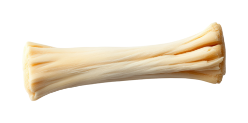 Indoor pet product dog chew bone isolated on transparent background