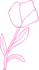 Minimalist pink line art of a blooming tulip with leaves. A delicate and elegant floral illustration perfect for spring, botanical designs, and decorations Outline