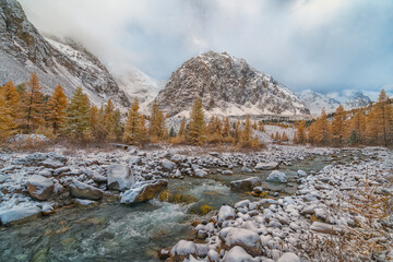 Drone view the Aktru Valley in Altai Mountains in Siberia, Altai Republic, Russia