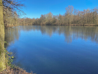 Obraz premium The image is a landscape photograph of a frozen lake surrounded by trees. The lake is calm and still, reflecting the trees and the sky above