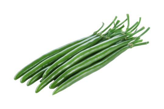 Harvesting fresh green beans in garden area isolated on transparent background