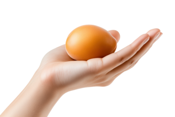 Hand holding a brown egg kitchen isolated on transparent background