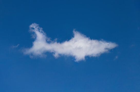 Shark shaped cloud swimming in a blue sky