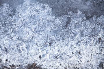 Fototapeta premium Textures and shapes created by nature in the winter
