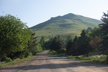 A beautiful road in the forest