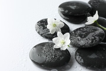 Wet spa stones and beautiful flowers on white background, closeup. Space for text