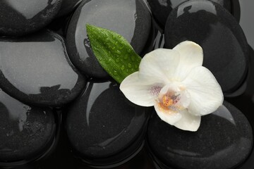 Spa stones and orchid flower on water surface, top view