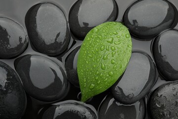 Spa stones and green leaf on water surface, top view