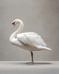 A graceful white swan with wings slightly spread, elegant feather details, soft lighting emphasizing beauty