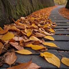 a path of leaves, life progress and growth content
