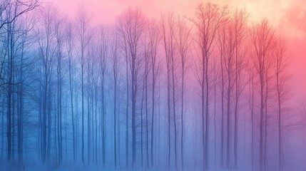 Bare Trees in a Misty Winter Forest at Dawn