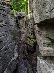 Inside a crevice in between rocks and below a forest on the Niagara Escarpment. During the summer on the Bruce Trail (Ontario, Canada)