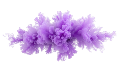 An isolated purple smoke plume is dense and detailed, resembling a cloud of pollution billowing smoke against transparent  background