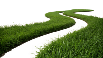 Curved path through vibrant green grass