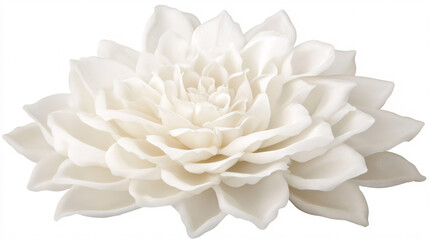 Elegant ivory flower with soft, layered petals arranged in a pleasing symmetrical design against a white background.