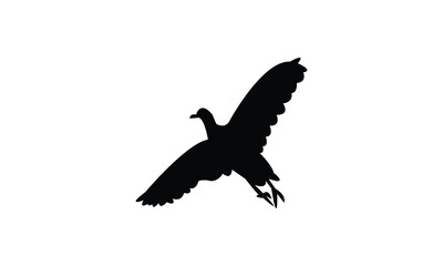 African crake bird Silhouette Design  And Vector Illustration. 