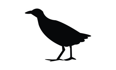 African crake bird Silhouette Design  And Vector Illustration. 