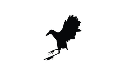 African crake bird Silhouette Design  And Vector Illustration. 