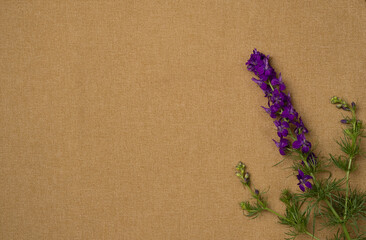 Flower on fabric background. Flat lay, top view. Copy space