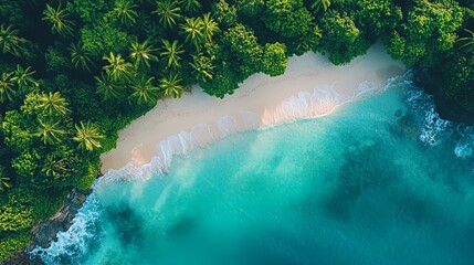 Beautiful Secluded Beach Surrounded by Lush Green Forest on a Sunny Day in a Tropical Paradise