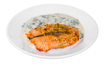 Appetizing Salmon Fillet in Creamy Spinach Sauce on White Plate - Eye-Level View
