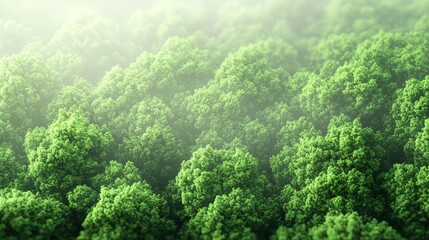 Lush forest canopy nature aerial view tranquil environment serenity and growth