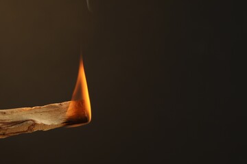 Burning palo santo stick against dark background, closeup. Space for text
