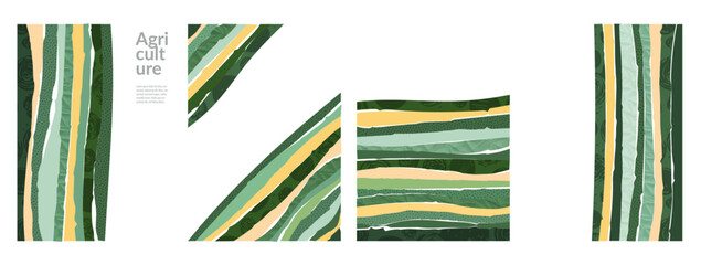 Green farm landscape abstract vector illustration. Organic field pattern, corporate brochure or magazine cover. Eco-friendly design, collage style and text frame, business flyer or booklet on ecology