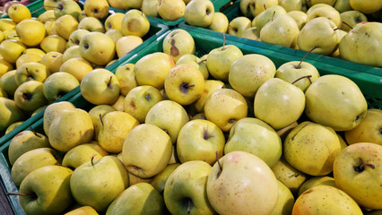 Variety of fresh apples on the supermarket counter. Apples for sale in the supermarket. Ripe juicy apples close-up with selective focus. Fruits. Heap of apples for sale in the store