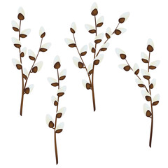 Pussy willow branches. Vector illustration. © successfulstocker