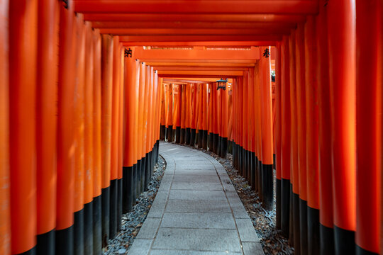 POV shot of Fushimi inari shrine