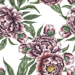 Fototapeta premium Seamless floral pattern with purple delicate peonies. Handmade watercolor illustration. Vintage-style color image. For textiles, wallpaper and wrapping paper. For labels, packaging, printing.