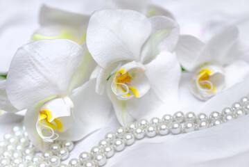 The branch of white orchids on white fabric background
