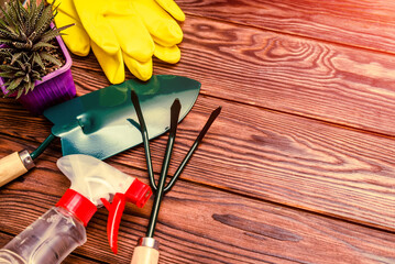 Garden tools on the background of a brown wooden table
