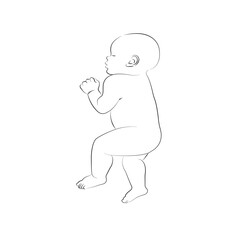 illustration Cute baby. Lovely sleeping curled baby.  Line style on white background