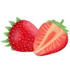 Illustration of strawberry isolated on white background hand drawn style 