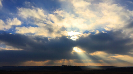 Shafts of light