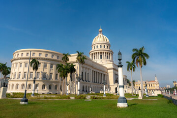 Obraz premium El Capitolio in Havana, Cuba, stands under a clear blue sky, surrounded by palm trees and green gardens, showcasing its grand neoclassical architecture. 