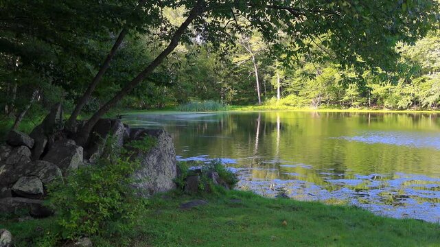 Scenic nature preserve of Delaware Water Gap National Recreation Area in Pennsylvania
