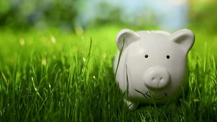 Young woman planning budget and putting coin into piggy bank, money saving self finance and savings capital concept managing expenses, calculating - Powered by Adobe