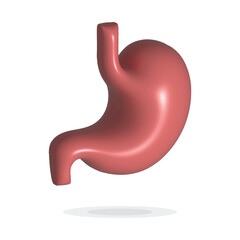 Human Stomach 3d render. Internal organ, 3d human gastrointestinal tract. Stomach pain and heartburn symbol. Digestive disease. Gastritis and acid reflux concept.Vector illustration isolated on white.
