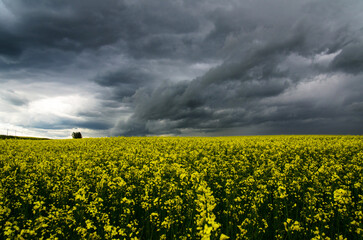 RAIN DAY. Hurricane season. World Meteorological Day. Global Climate Change awareness conference....