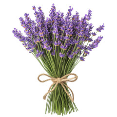 A vibrant lavender bouquet tied with a rustic twine bow, transparent background, PNG