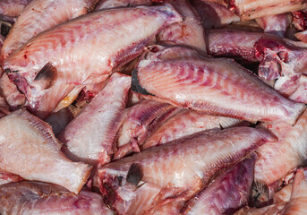 Fresh fish in street market. Fresh raw of fish in the market of Negombo, Sri Lanka, Asia