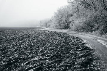 winter road and trees with snow and frost, winter landscape, winter forest, winter road and trees covered with snow
