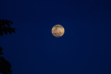 Moon Closeup Showing the Details of Lunar Surface at Night.